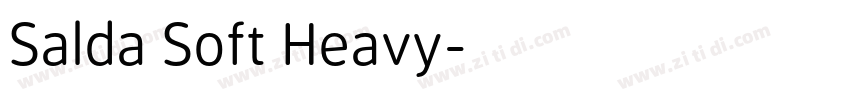 Salda Soft Heavy字体转换